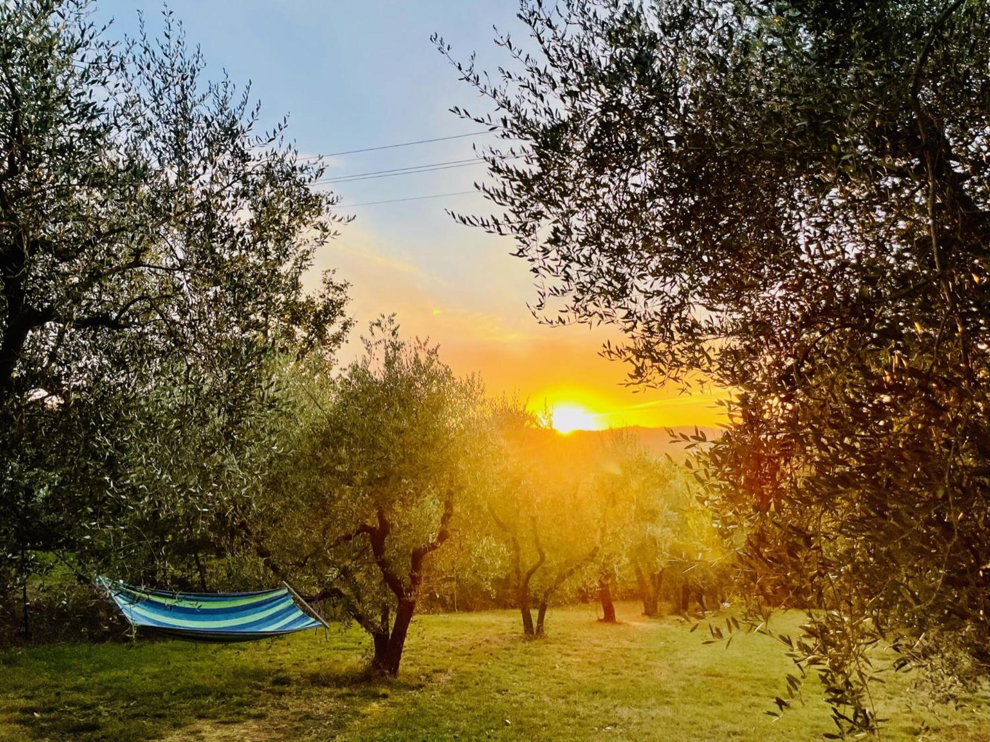 Agriturismo Casaviva Pozzo  المظهر الخارجي الصورة
