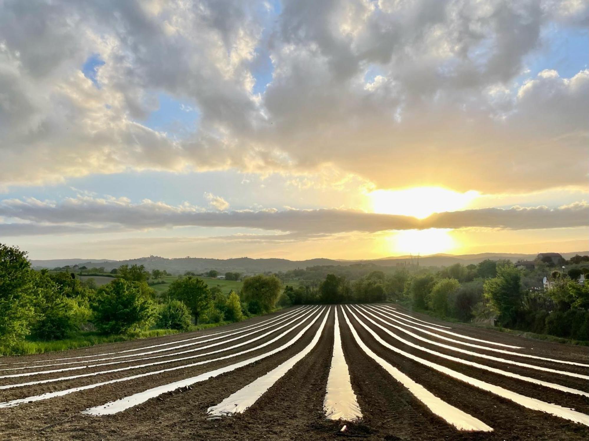 Agriturismo Casaviva Pozzo  المظهر الخارجي الصورة